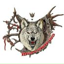 Міша Волк фотография #6 (источник - https://vk.com/id138789320)