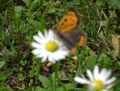 Иван Стефановић фотография #21 (источник - https://vk.com/id74217773)