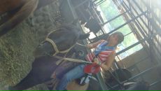 Фотография Минибаевой Марии