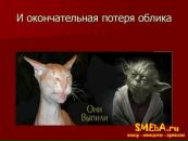 Фотография Захарова Ивана