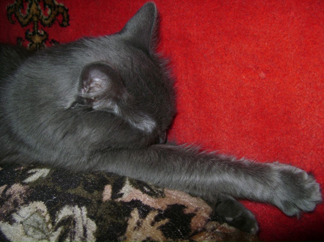 Ира Горячева фотография #25