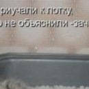 Віка Костевка фотография #37 (источник - https://vk.com/id151551439)