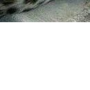 Віка Костевка фотография #22 (источник - https://vk.com/id151551439)