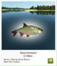 Віктор Камлук фотография #12 (источник - https://vk.com/id162080953)