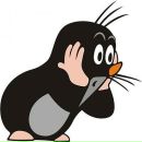 Микита Олімпієв фотография #40 (источник - https://vk.com/id7061882)