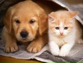 Фотография Жильцовой Светланы