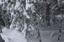 Андрій Гончарук фотография #41 (источник - https://vk.com/id8862072)