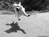 Фотография Алексеевой Марии