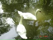 Дмитрий Ерохин фотография #15 (источник - https://vk.com/id77308762)