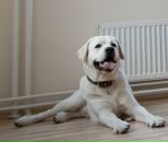 Фотография Назарова Константина