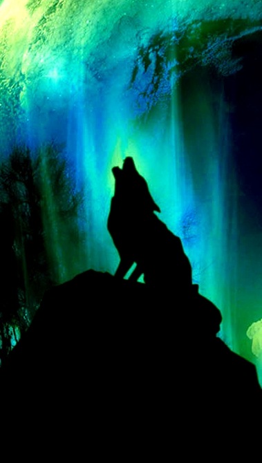 Эльдар Каримов фотография #42