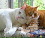 Фотография Батькина Дмитрия