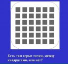 Сергій Зінько фотография #45 (источник - https://vk.com/id45228635)