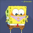 Spoonge Bob фотография #1