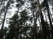 Pol Polo фотография #43 (источник - https://vk.com/id4175644)