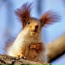 Фотография Лысых Марины