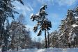  фотография #40