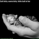 Антон Устюгов фотография #41 (источник - https://vk.com/id835167)