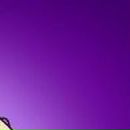 Андрій Райтузов фотография #38 (источник - https://vk.com/id138037575)