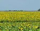 Діма Бузівський фотография #11 (источник - https://vk.com/id19813075)