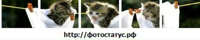 Діана Пастух фотография #14 (источник - https://vk.com/id58203697)