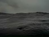 Фотография Щербины Саши