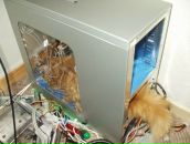 Фотография  