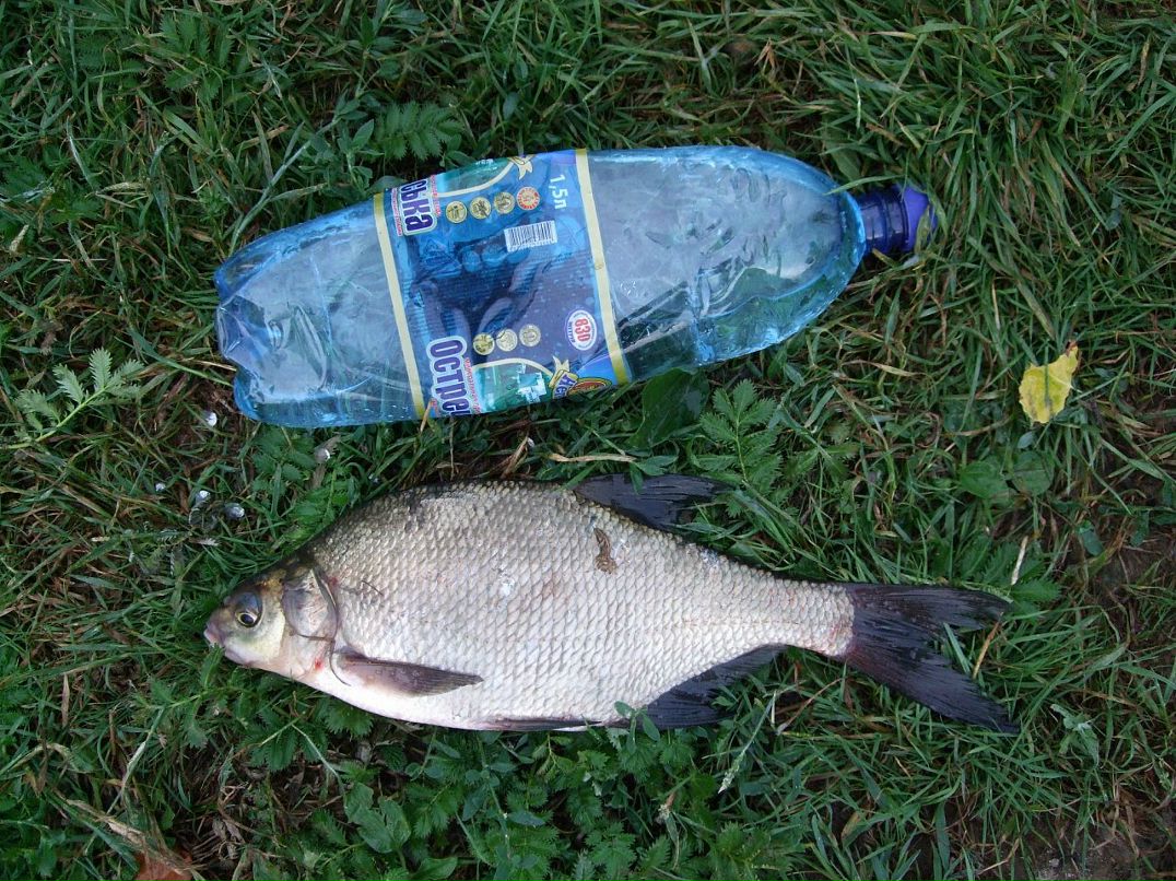 Женя Пась фотография #30