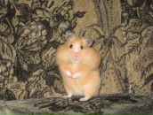 Ірина Ільющенкова фотография #48 (источник - https://vk.com/id23949152)