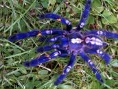 Фотография Атаны Сергея