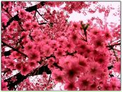 Фотография Бобиной Маргариты