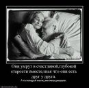 Андрей Лермонтов фотография #37 (источник - https://vk.com/id3879905)