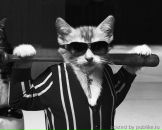 Фотография Межевикина Андрея