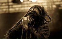 Фотография Troll Karel