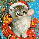 Віта Разкевич фотография #1