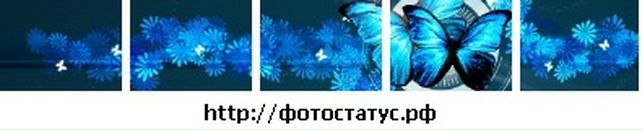 Танюша Антонів фотография #3 (источник - https://vk.com/id63454691)