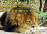 Іван Сопрун фотография #18 (источник - https://vk.com/id60841416)