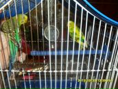 Іринка Рибак фотография #50 (источник - https://vk.com/id69663600)