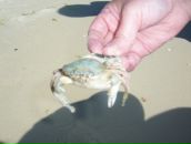 Фотография Скоковой Ирины