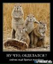 Сергій Бахін фотография #19 (источник - https://vk.com/id61228979)