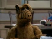 Фотография Павельева Юлия