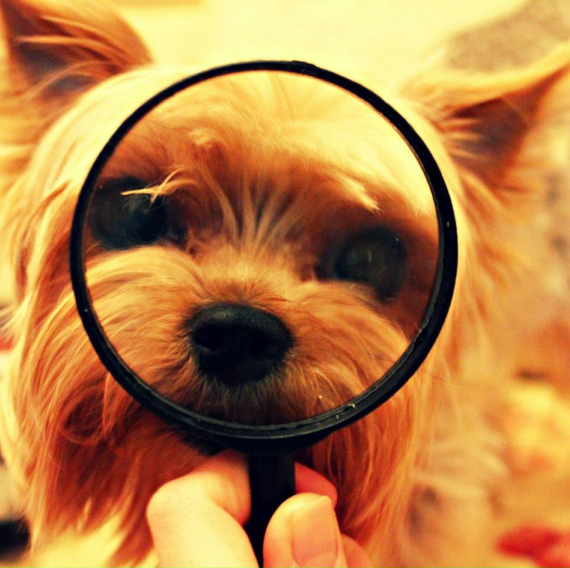 Вика Нерченко фотография #47