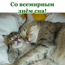 Сергій Ковтун фотография #19 (источник - https://vk.com/id134056562)