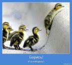 Даша_ Smile_in_rain фотография #8 (источник - https://vk.com/id69800007)