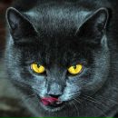 Фотография Умушкиной Юлии