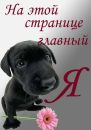 Марія Качковська-Савіцька фотография #6 (источник - https://vk.com/id167568932)