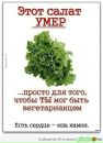 Фотография Хитёва Елена