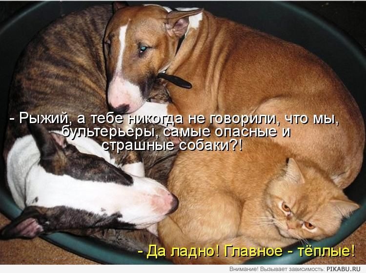 Макс Мысов фотография #24