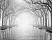 Ігор Мисютін фотография #31 (источник - https://vk.com/id135382200)