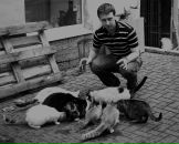 Сергей Стефаненко фотография #34 (источник - https://vk.com/id227716)